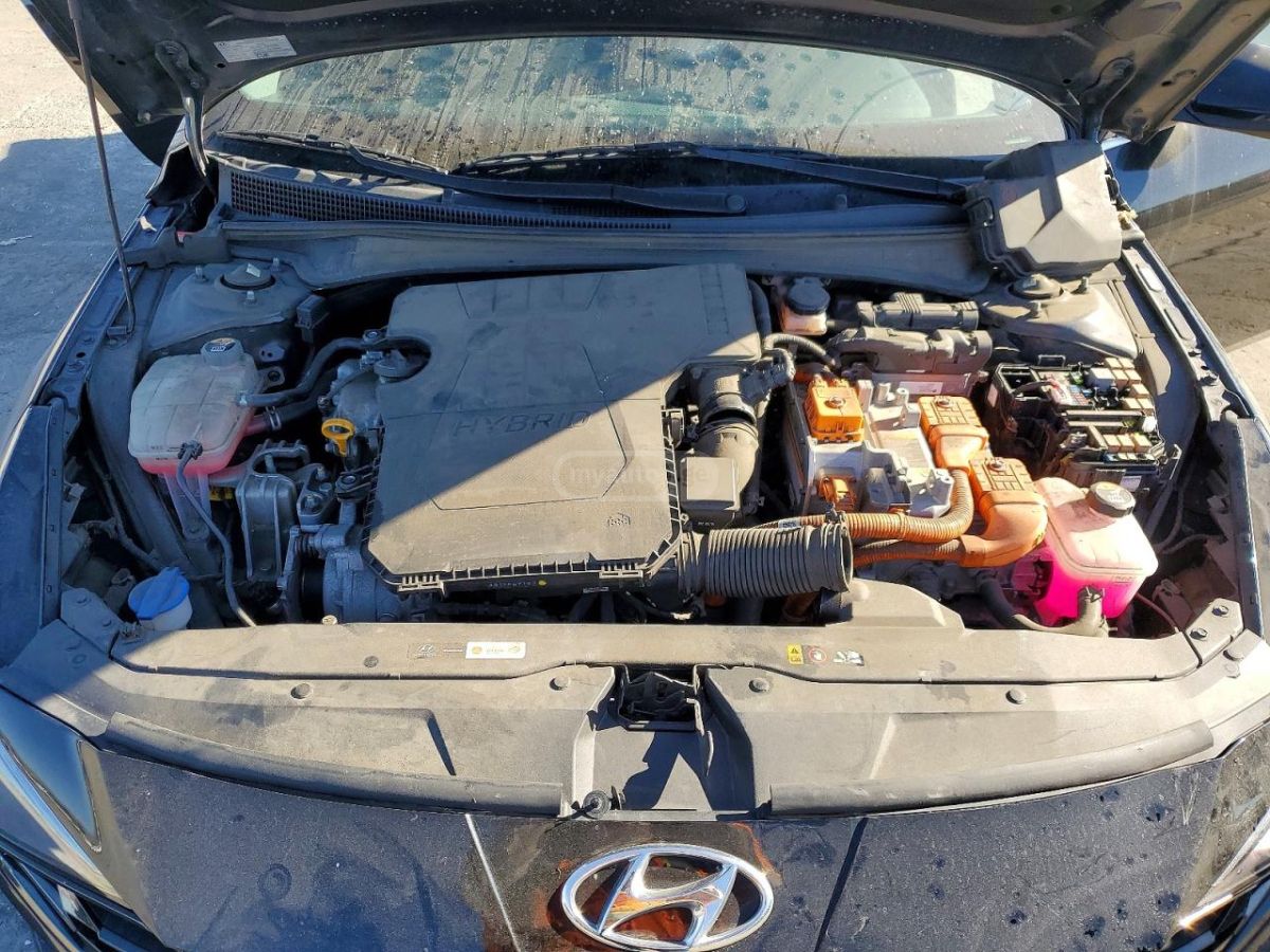 Hyundai Elantra - фото 11