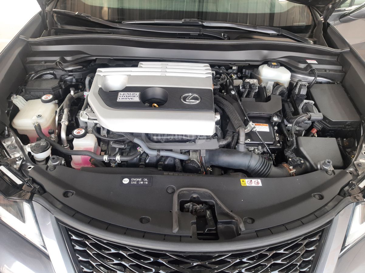 Lexus UX 250 h - фото 11