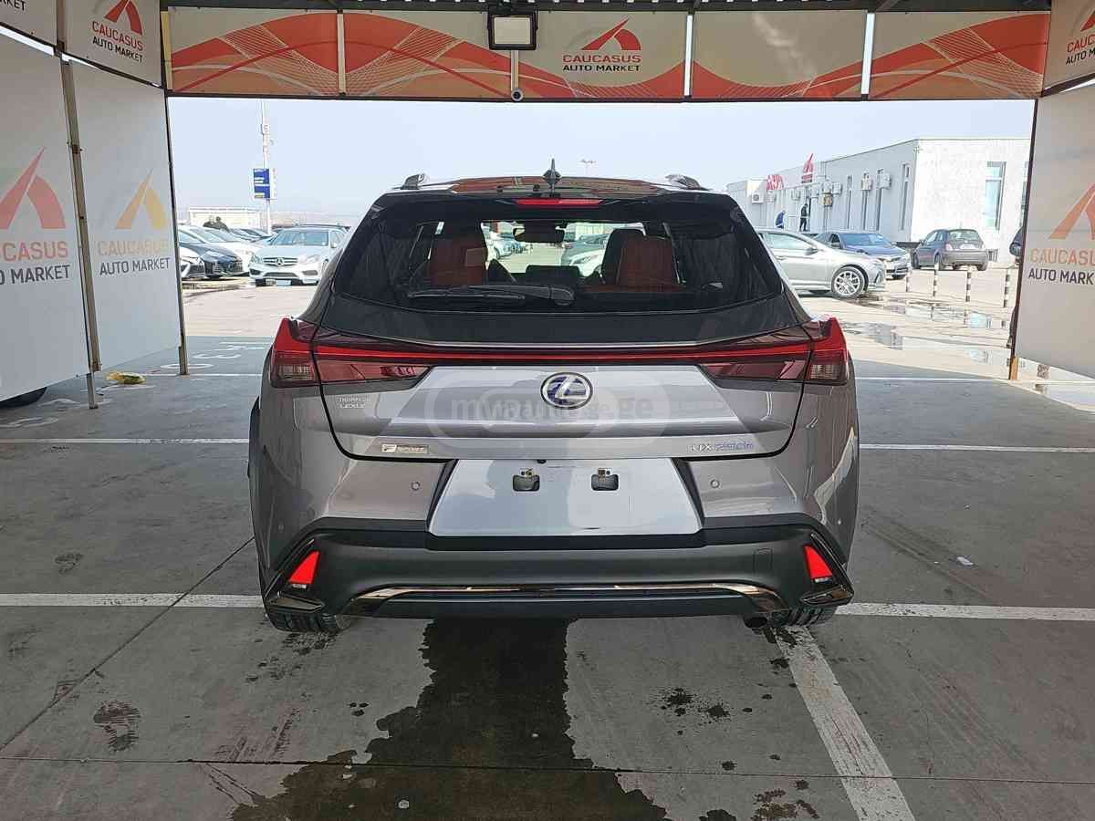 Lexus UX 250 h - фото 5