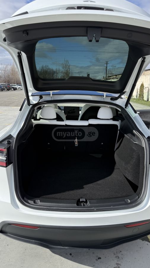 Tesla  — миниатюра 5