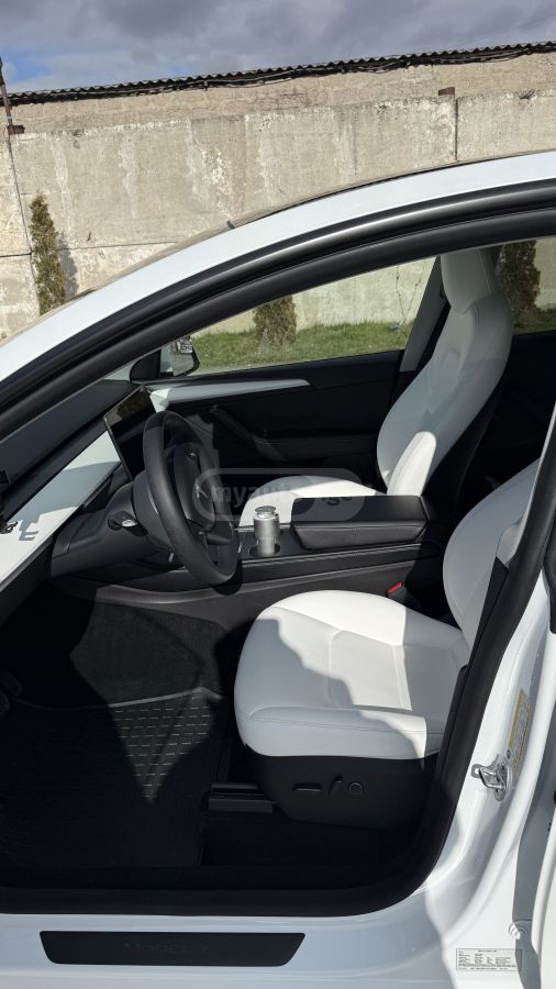 Tesla  — миниатюра 8