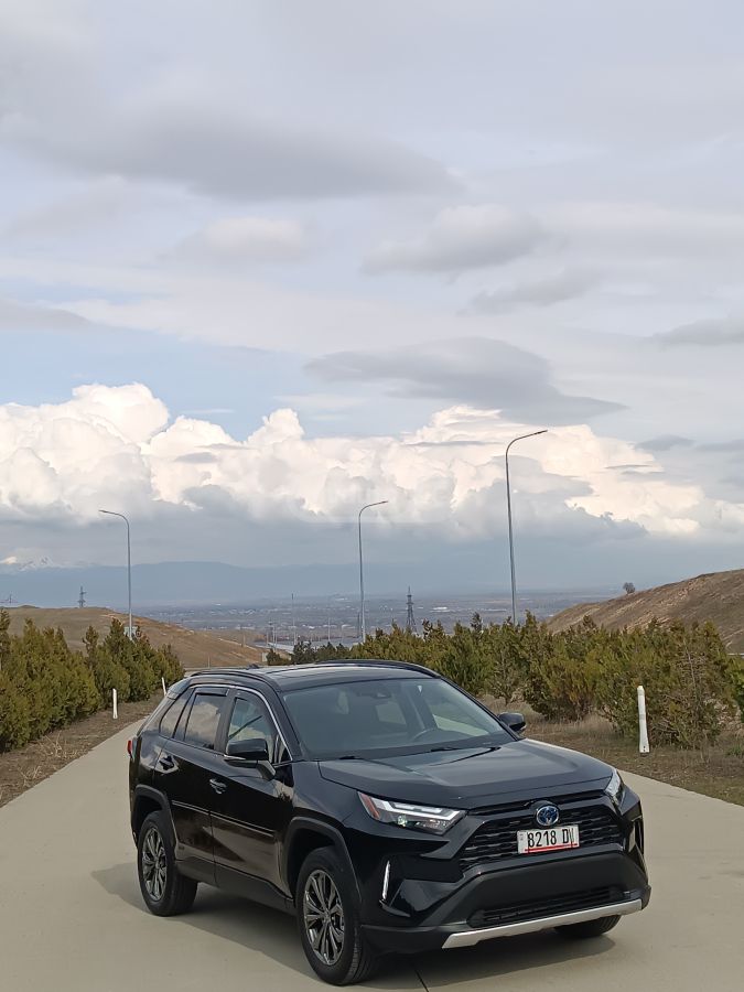 Toyota RAV 4 - фото 1