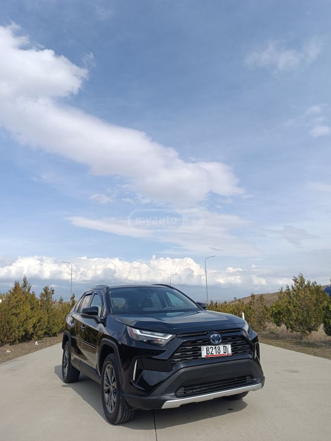 Toyota XLE Premium 4dr Front-Wheel Dr — миниатюра 15