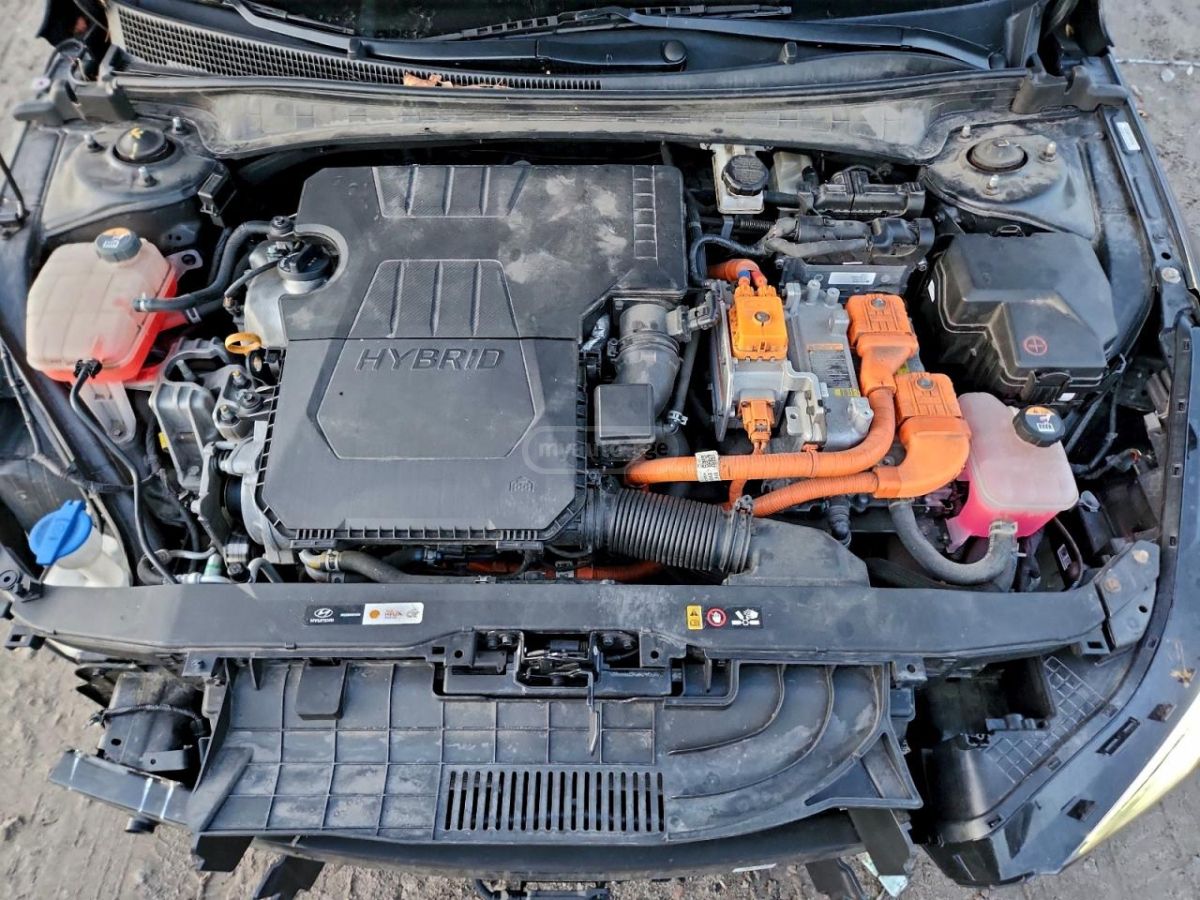 Hyundai Elantra - фото 11