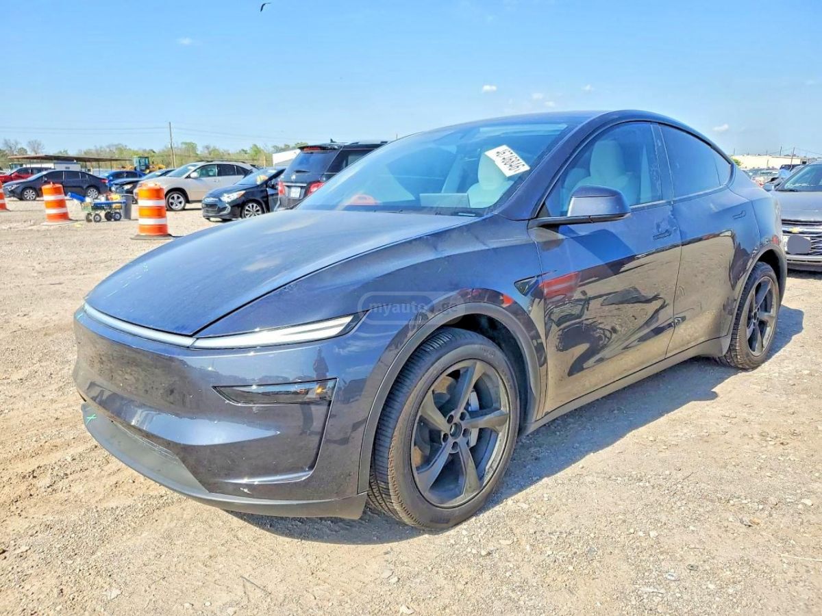 Tesla Model Y 2026 — миниатюра 1