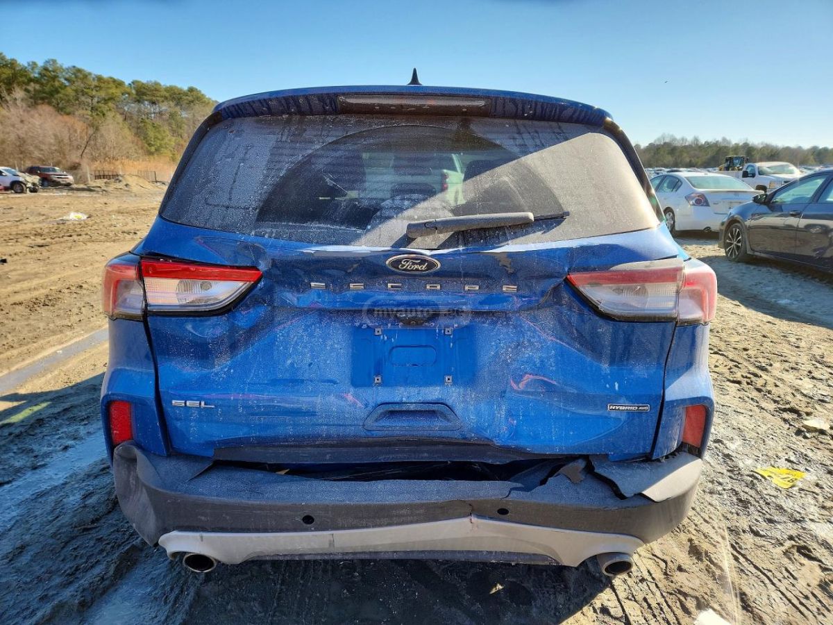 Ford Escape - фото 6