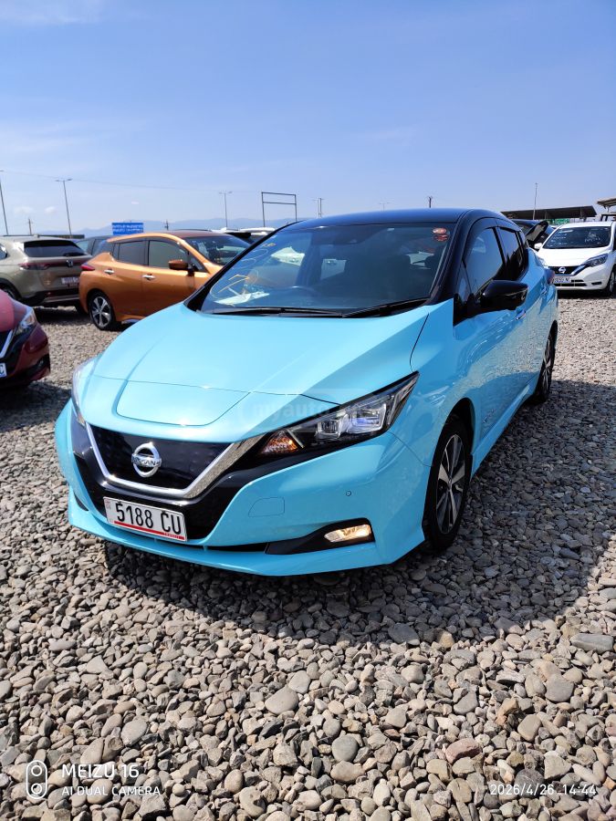 Nissan Leaf - фото 1