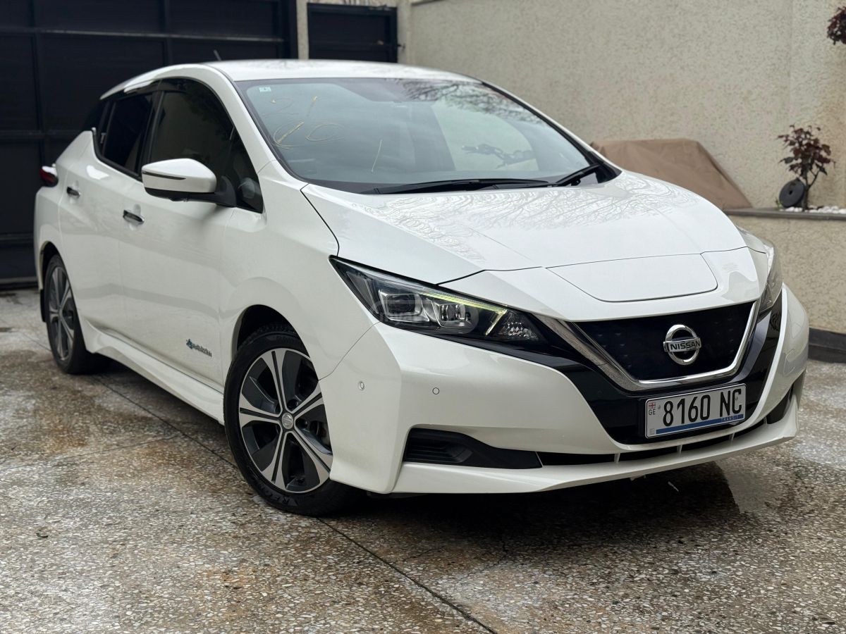 Nissan Leaf - фото 1