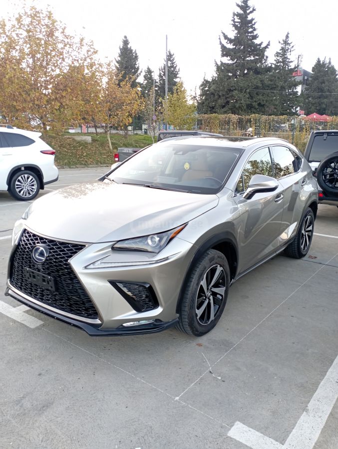 Lexus F SPORT Black Line 4dr All-Whe — миниатюра 1