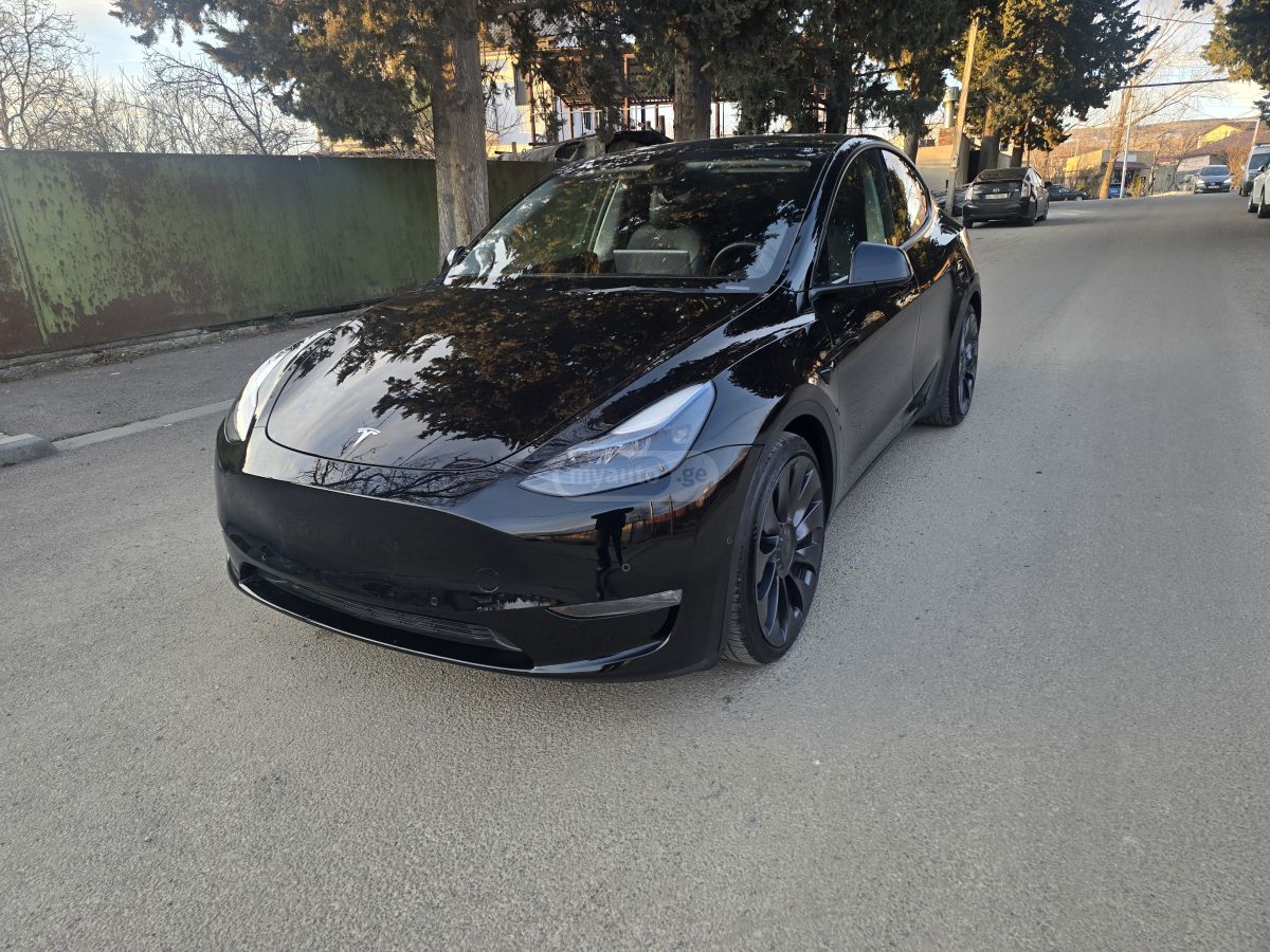 Tesla Performance — миниатюра 1