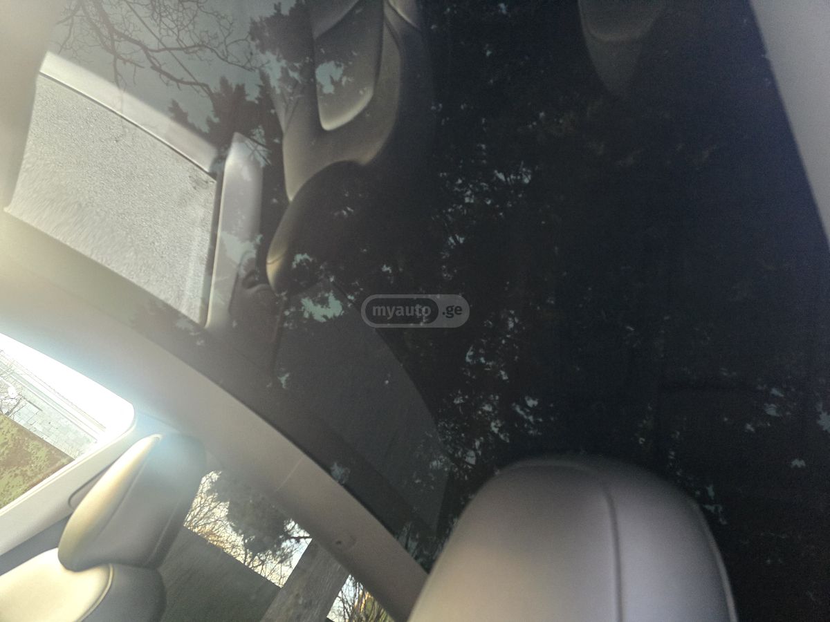 Tesla Performance — миниатюра 10