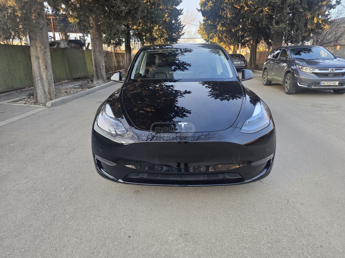 Tesla Performance — миниатюра 2