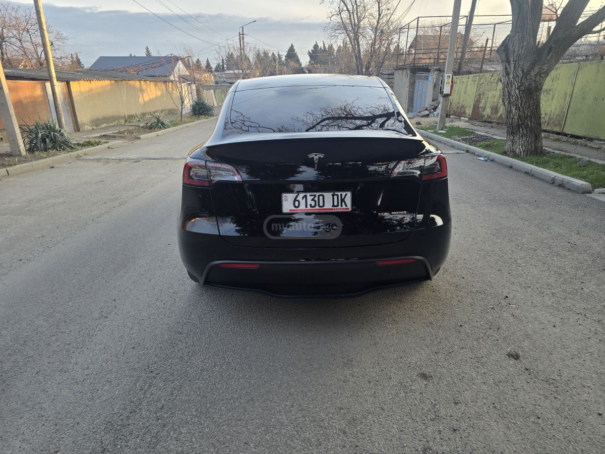 Tesla Performance — миниатюра 5