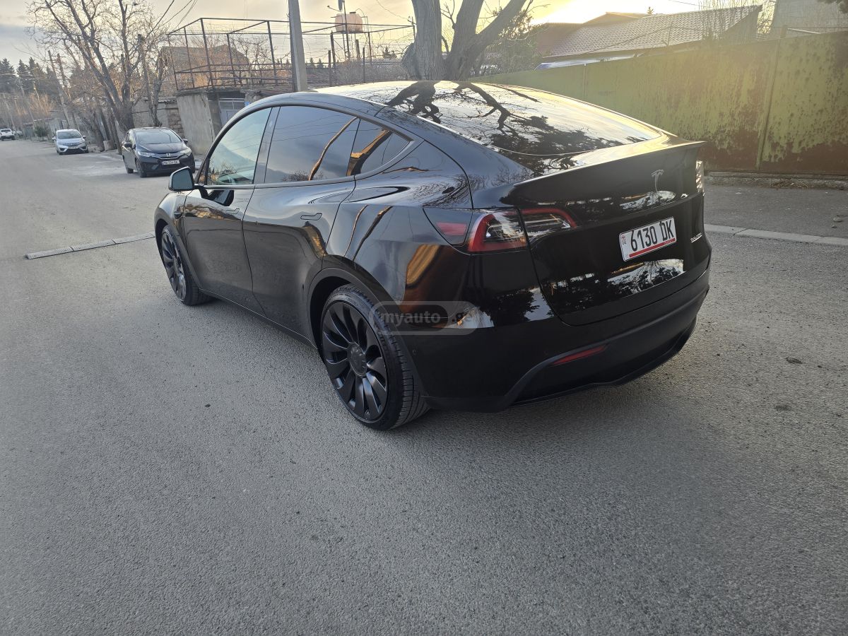 Tesla Performance — миниатюра 6