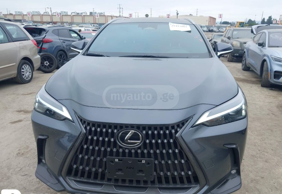 Lexus NX 350 - фото 1