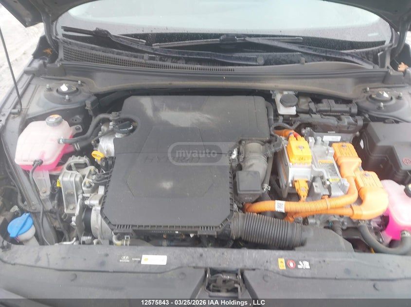 Hyundai Elantra - фото 6