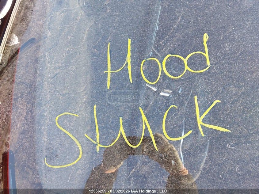 BMW M240 - фото 10