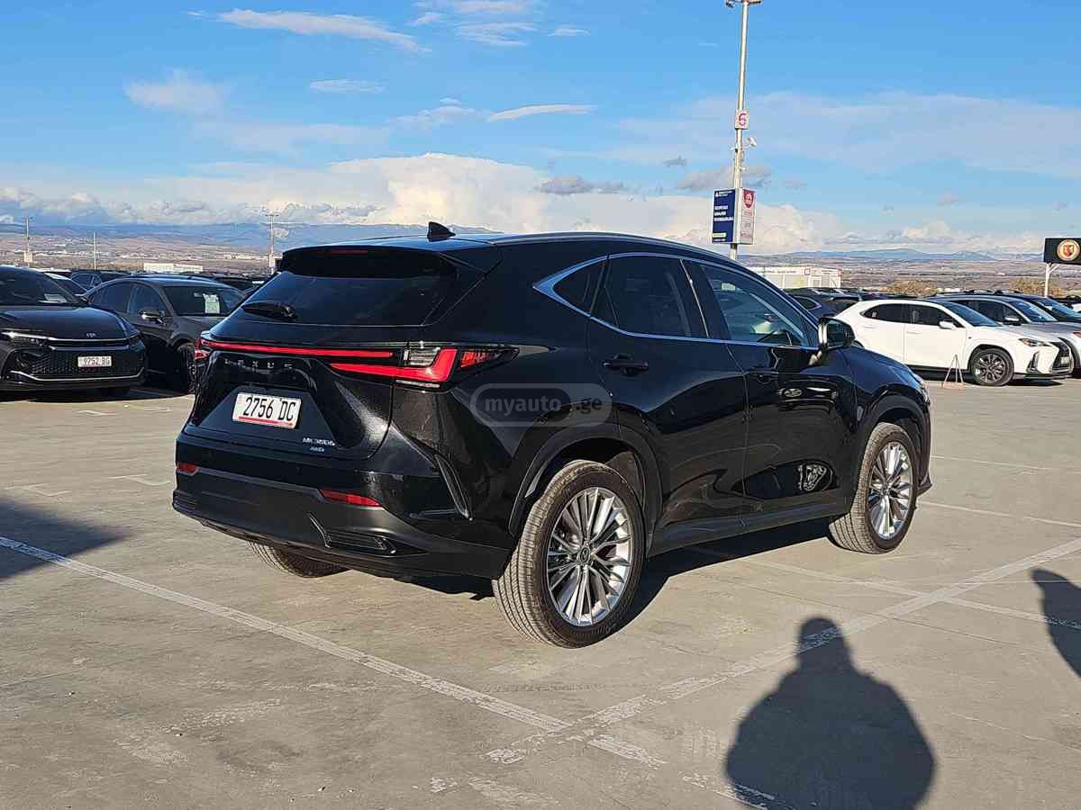 Lexus Lexus NX — миниатюра 4