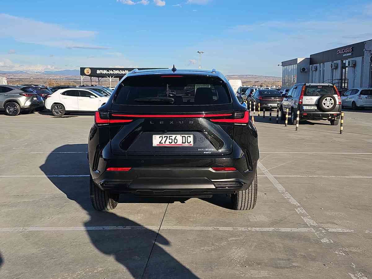 Lexus Lexus NX — миниатюра 5