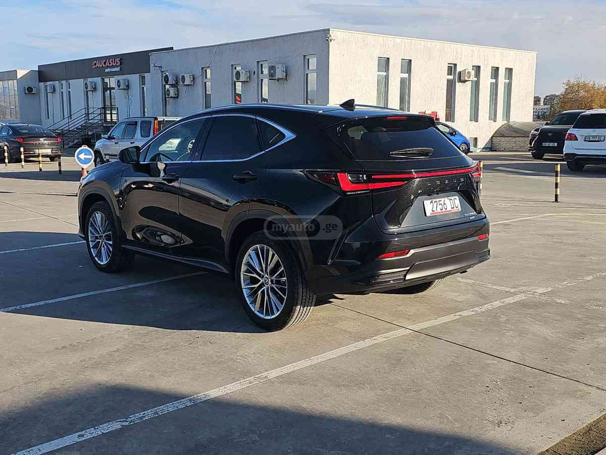 Lexus Lexus NX — миниатюра 6