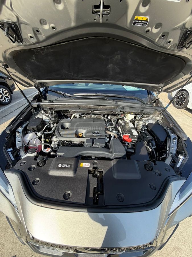 Lexus NX 250 2025 — миниатюра 10