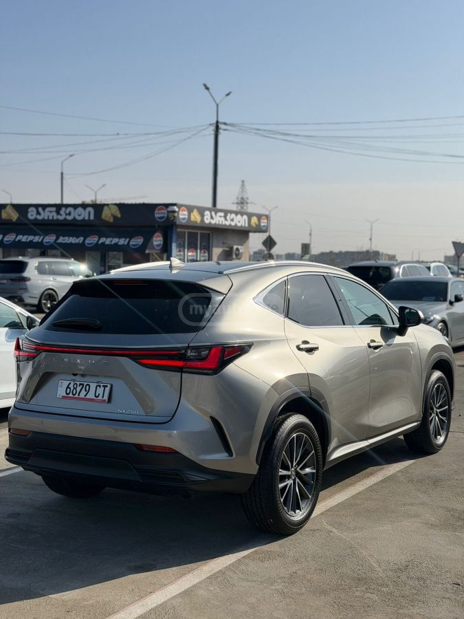Lexus NX 250 2025 — миниатюра 12