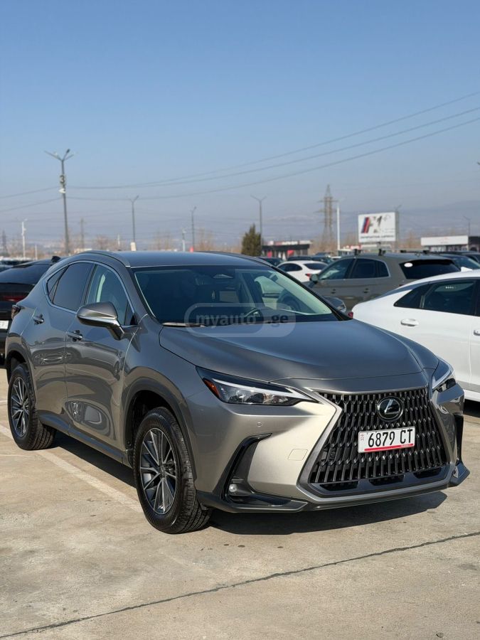 Lexus NX 250 2025 — миниатюра 2