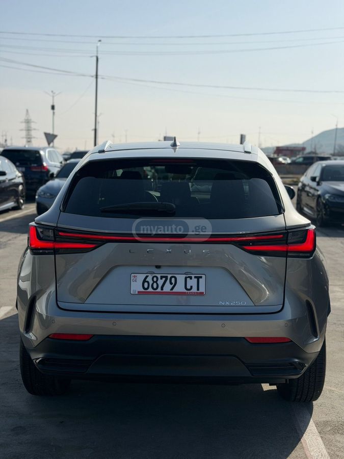 Lexus NX 250 2025 — миниатюра 3