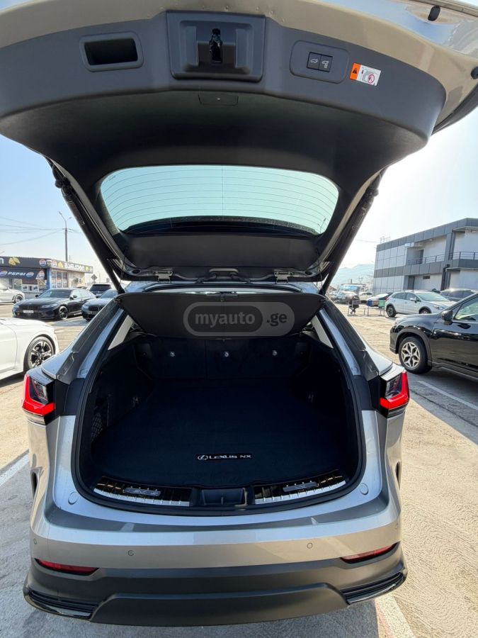 Lexus NX 250 2025 — миниатюра 6