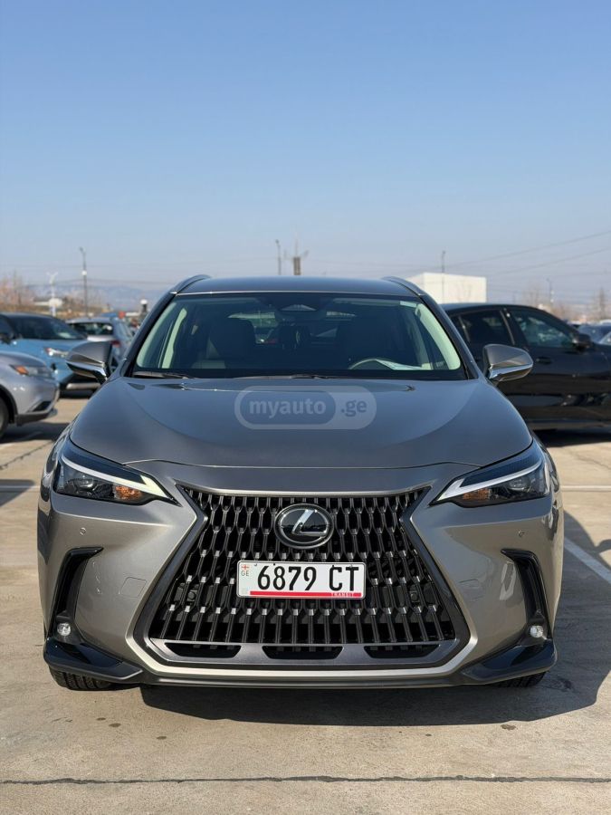Lexus NX 250 2025 — миниатюра 7