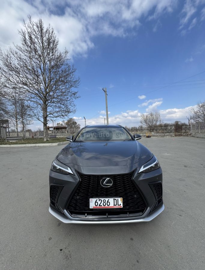 Lexus NX 250 2025 — миниатюра 1