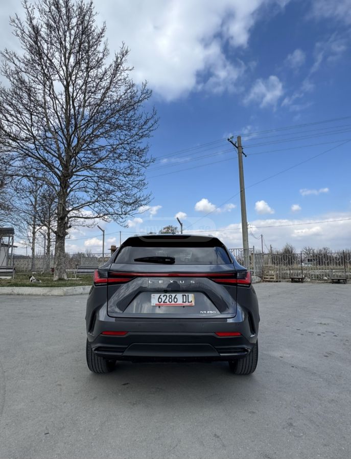 Lexus NX 250 2025 — миниатюра 2
