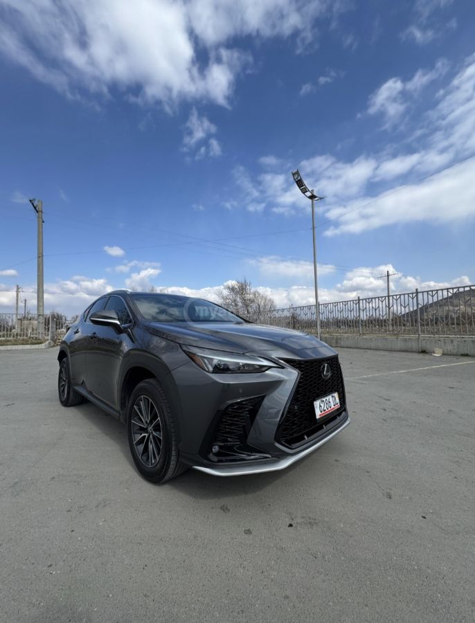 Lexus NX 250 2025 — миниатюра 3