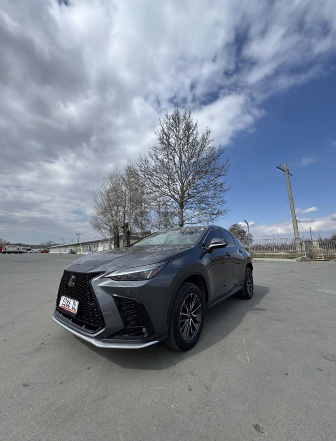 Lexus NX 250 2025 — миниатюра 4