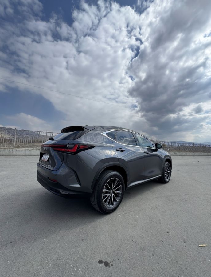 Lexus NX 250 2025 — миниатюра 6