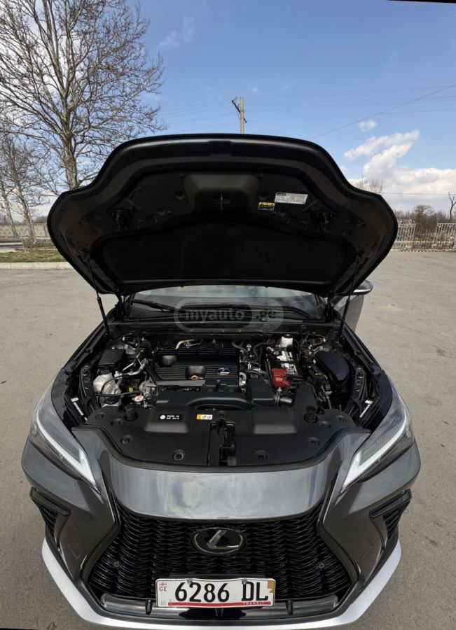 Lexus NX 250 2025 — миниатюра 7