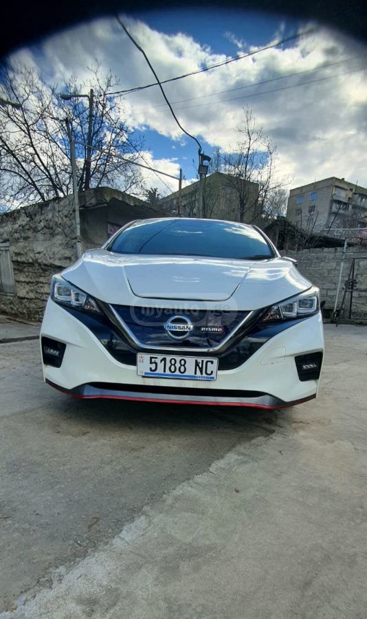 Nissan Leaf - фото 1