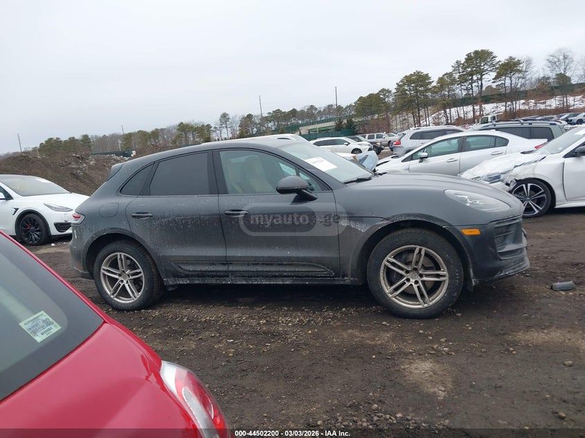 Porsche Macan - фото 12