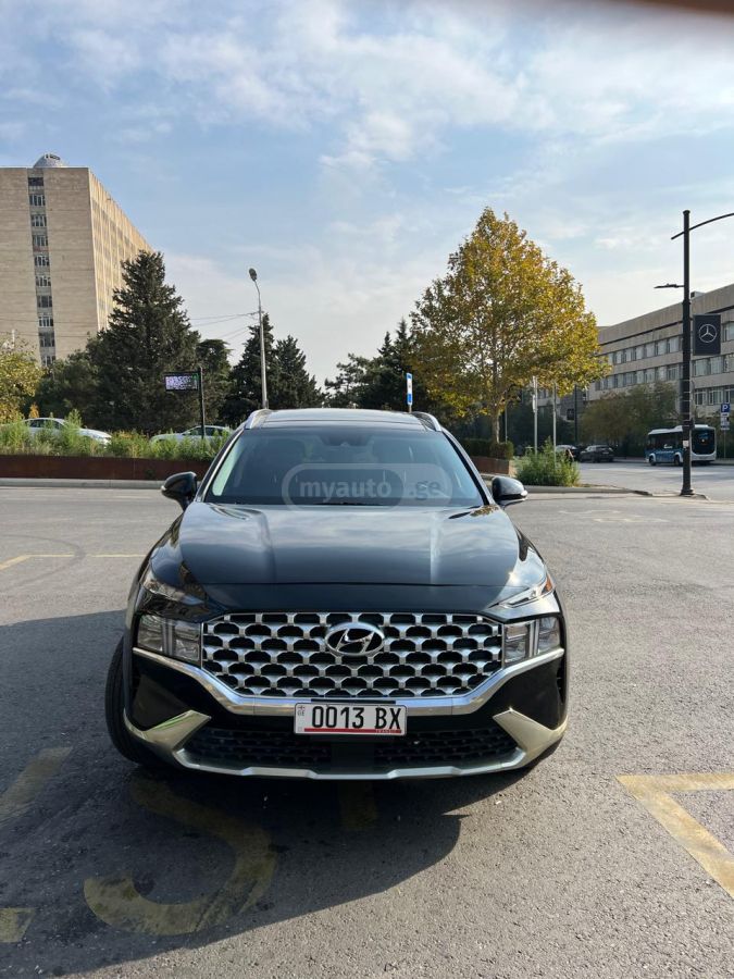 Hyundai Santa FE - фото 6