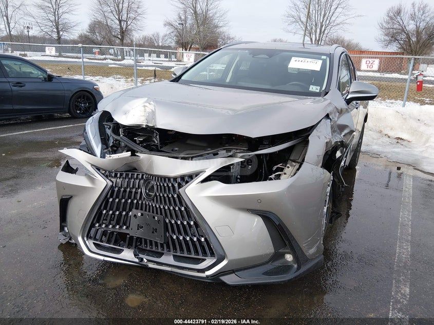 Lexus NX 300 2025 — миниатюра 2