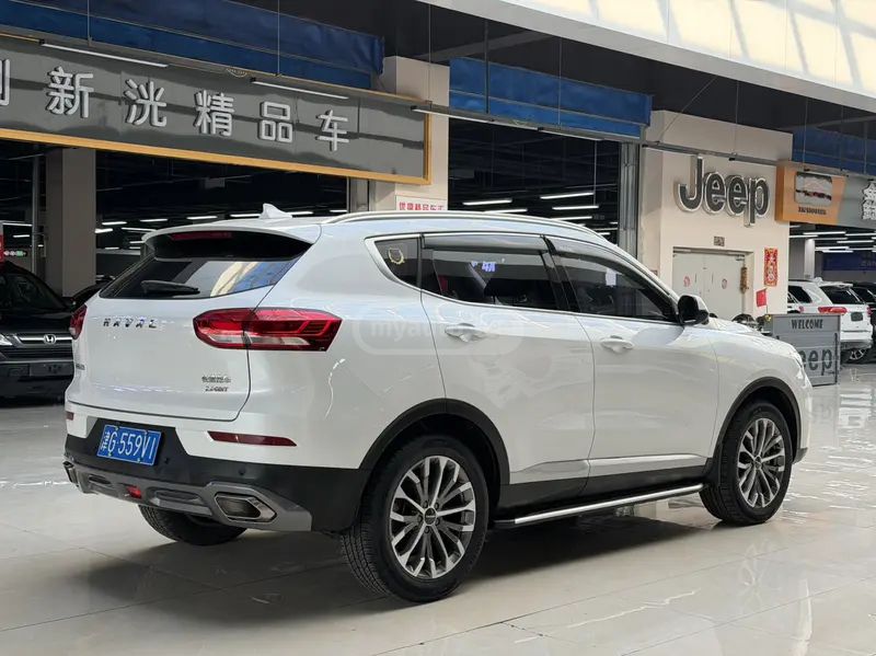 Haval H6 2020 — миниатюра 5