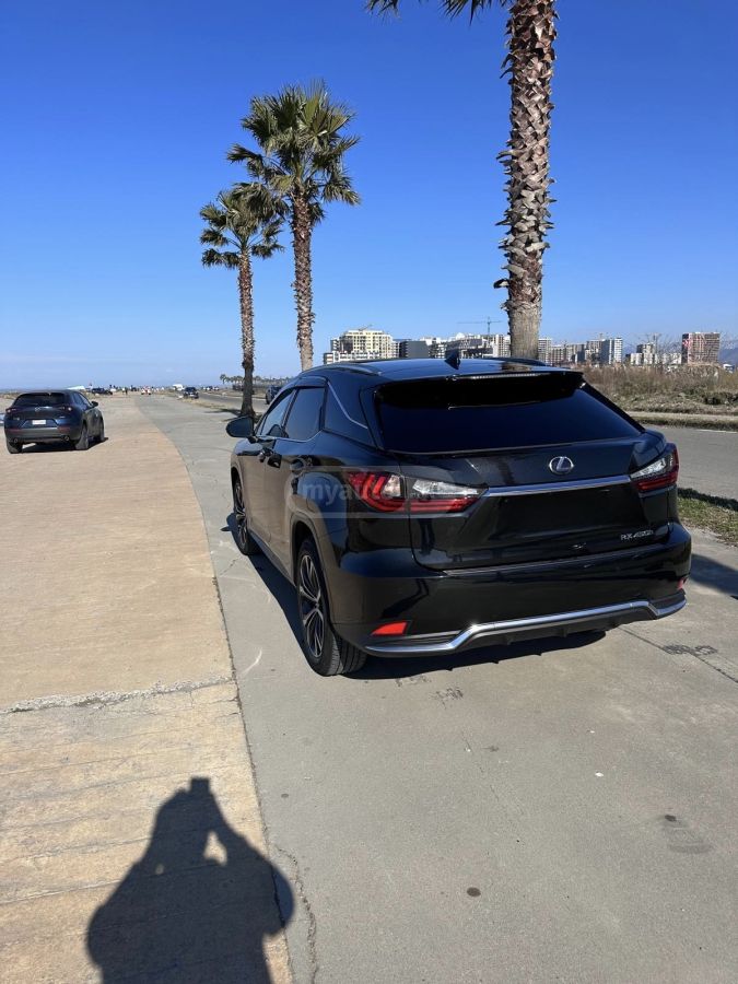 Lexus RX 450 Luxury 4dr All-Wheel Drive CVT 2021 — миниатюра 5