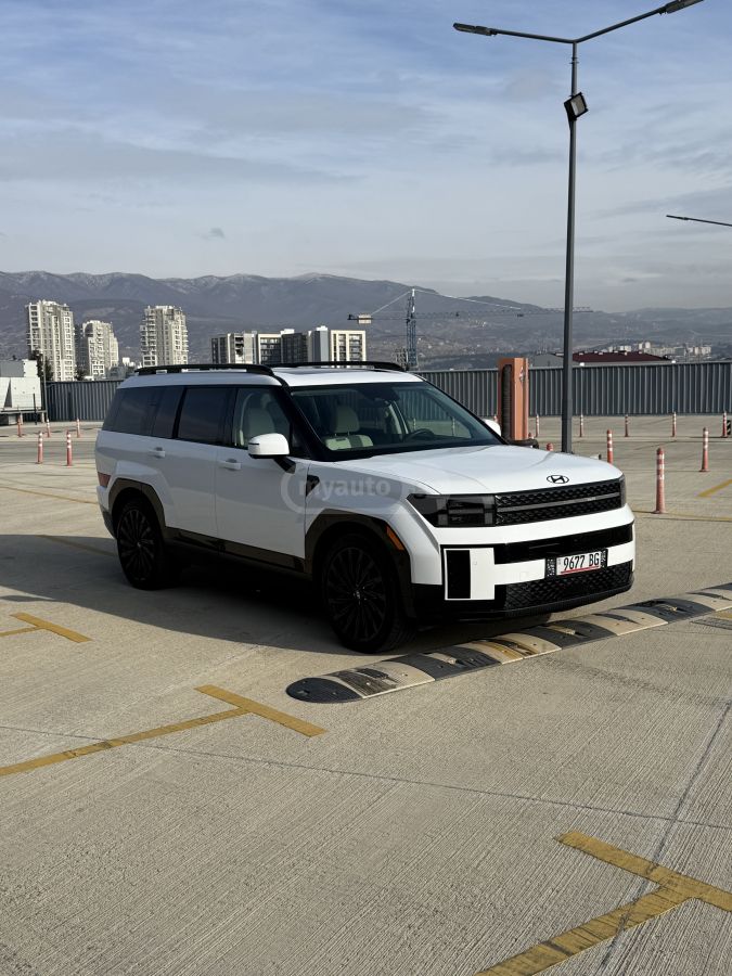 Hyundai Santa FE - фото 1