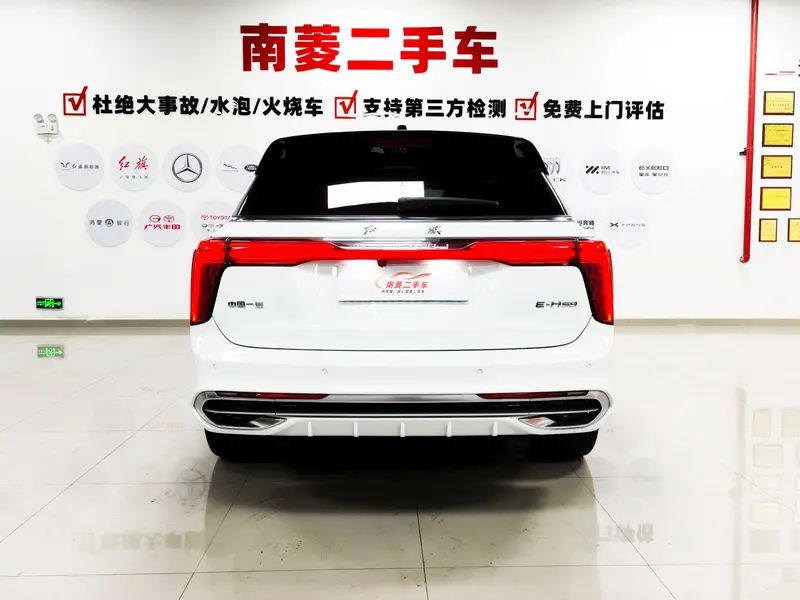 Hongqi E-HS9 - фото 6