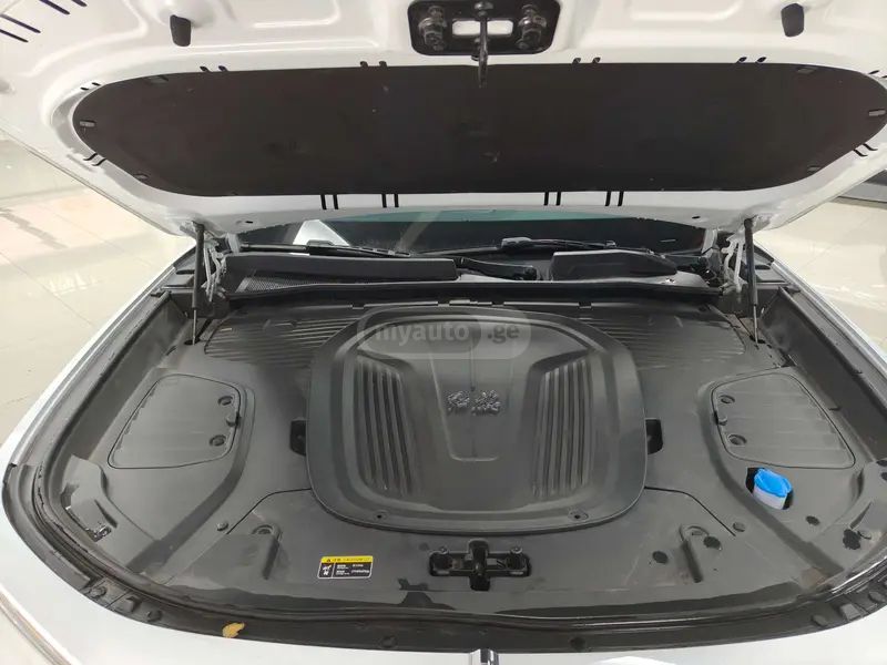 Hongqi E-HS9 - фото 9