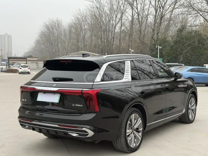 Hongqi E-HS9 - фото 6