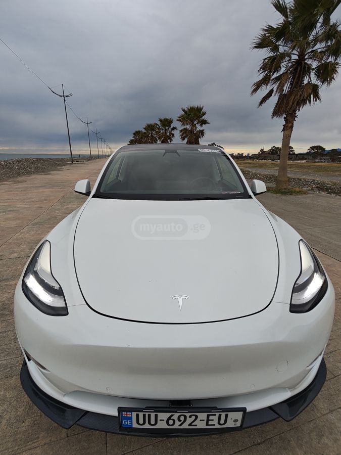 Tesla Dual motor long range — миниатюра 1