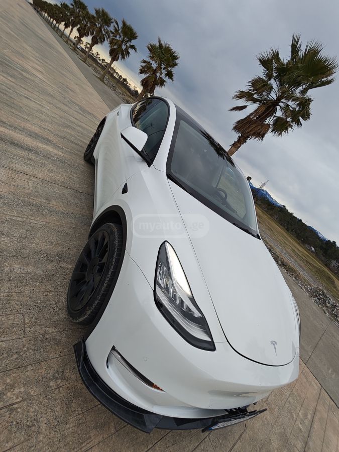 Tesla Dual motor long range — миниатюра 11