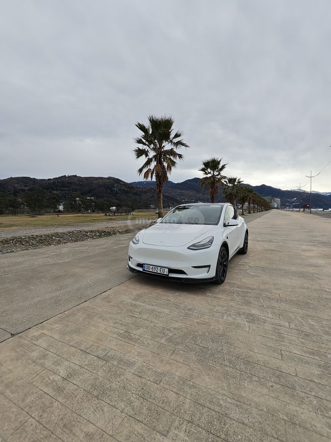 Tesla Dual motor long range — миниатюра 14