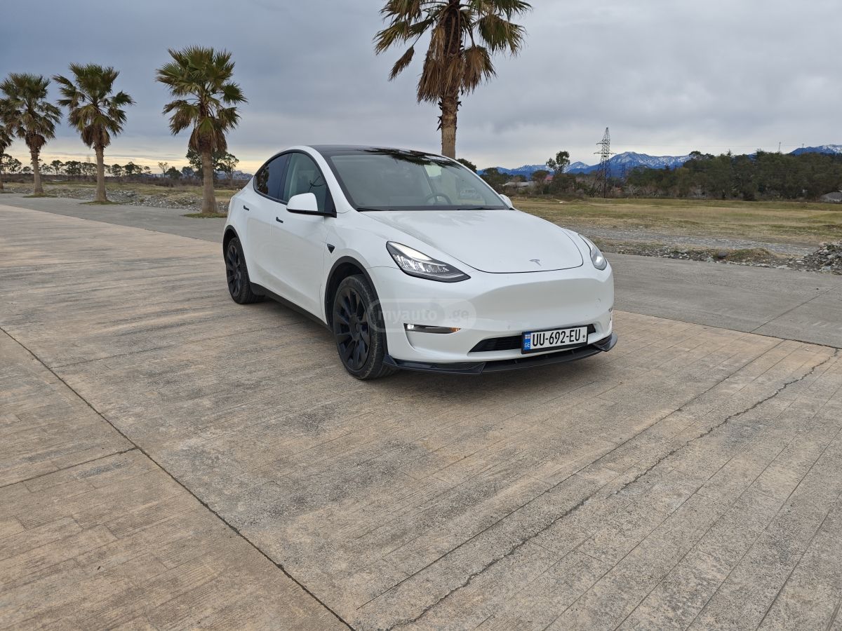 Tesla Dual motor long range — миниатюра 2